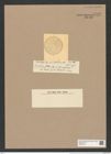 Coscinodiscus stellaris Roper. (de-Toni-Nr.: Genus 202, Species 4940) Zeichnungen Sammlung Grunow Nr. 8526 (NHMW-BOT-W0378154)